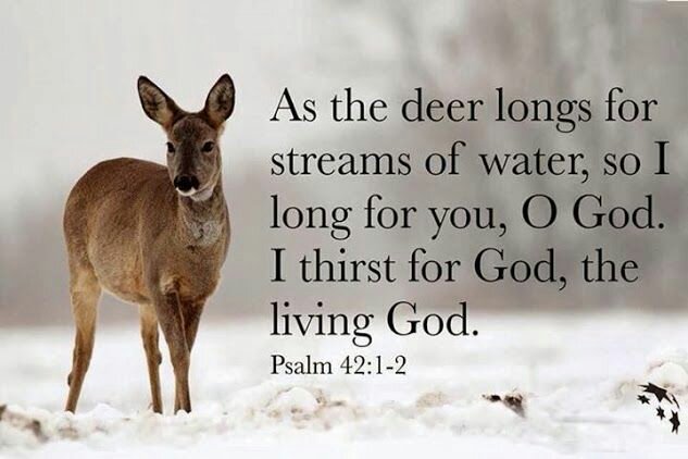 Come to Jesus and live